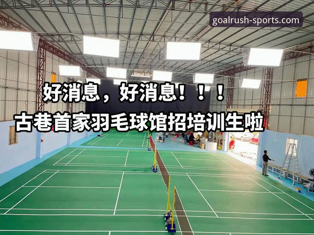球速体育安卓版使用指南：从下载到流畅观赛的完整操作教程